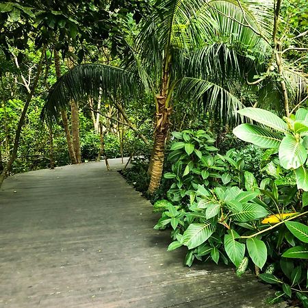 Rayshiva Homestay Ubud Exterior foto